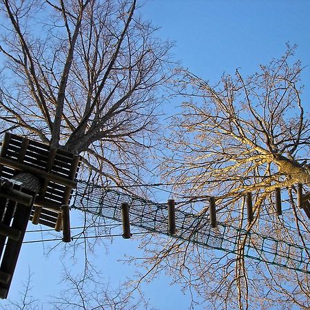 Kempings Ozolkalns Cēsis Zewnętrze zdjęcie