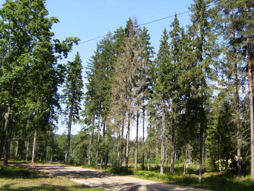 Kempings Ozolkalns Cēsis Zewnętrze zdjęcie