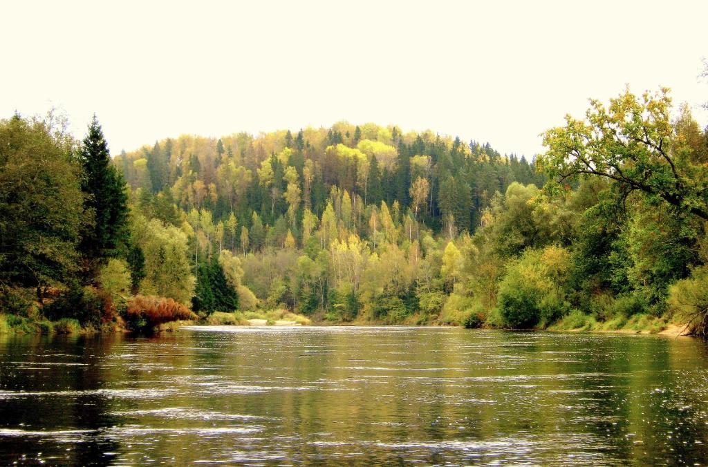 Kempings Ozolkalns Cēsis Zewnętrze zdjęcie