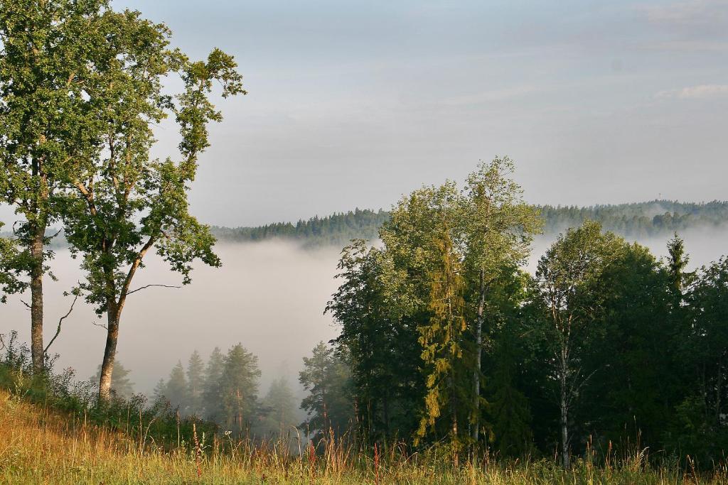 Kempings Ozolkalns Cēsis Zewnętrze zdjęcie