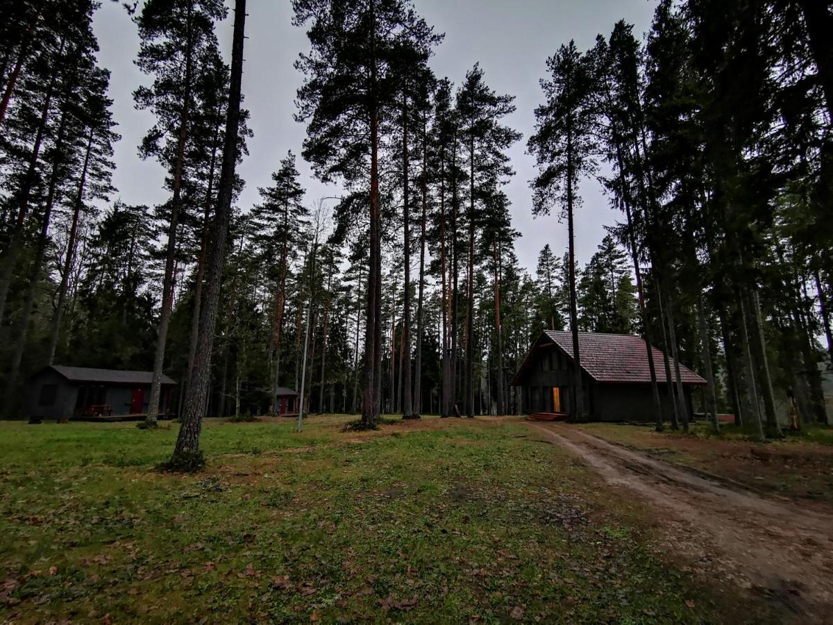 Kempings Ozolkalns Cēsis Zewnętrze zdjęcie